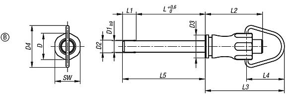 Ball lock pins with stainless steel bracket